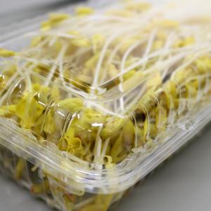 そばもやし 150g 冷蔵 そばスプラウト 青...の詳細画像1