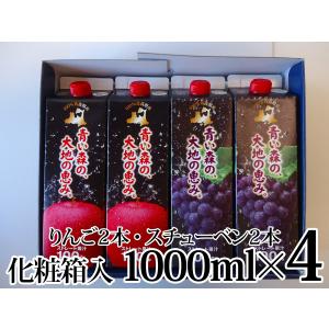 ギフト あおもりりんご100 ストレート 青い森の、大地の恵み。 1000ml