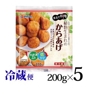 まるでお肉! 植物生まれのからあげ 200g 5個セット 冷蔵便 大豆ミート 代替肉 伊藤ハム