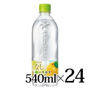 特茶 サントリー特水 600ml 24本入箱 機能性表示食品 SUNTORY : カブ