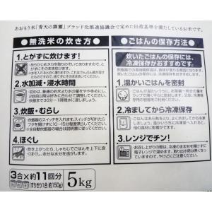 青天の霹靂 無洗米 5kg 令和7年度産 青森県産の詳細画像1