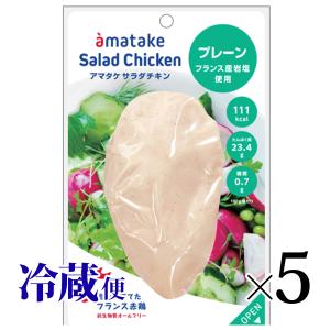 サラダチキン アマタケ プレーン味 5個セット フランス産岩塩使用 甘竹 サラダ