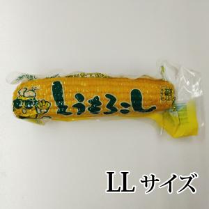 岩木屋 嶽きみ 真空パック LLサイズ バラ売り
