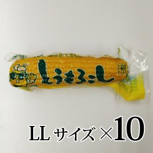 岩木屋 嶽きみ 真空パック LLサイズ バラ売り : カブセンターYahoo!店