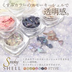 (わけあり)スモーキーシェル (8種) ジェル...の詳細画像2