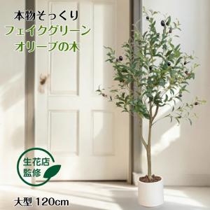 フェイクグリーン オリーブの木 120cm 大型...の商品画像