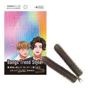 Bangs Trend Styler バングストレンドスタイラー 男性用前髪カーラー