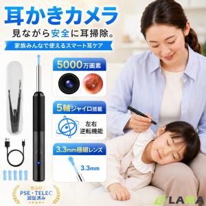 クーポンで最安1691円 進化型 耳かき カメラ 5000万画像 LEDライト 耳掻き 耳掃除 耳垢 イヤースコープ 大人 子供 ペット 赤ちゃん IP67防水 iPhone Android