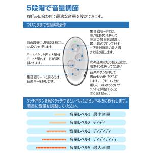＼クーポンで8982円/ 集音器 イヤホン型 ...の詳細画像5