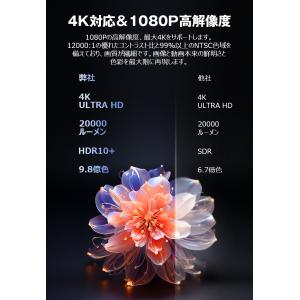 進化版10%OFFで最安6282円 プロジェク...の詳細画像2