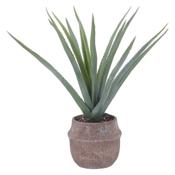 不二貿易 フェイクグリーン アロエ M セメントポット FB-3091661 「メーカー直送・代引不...