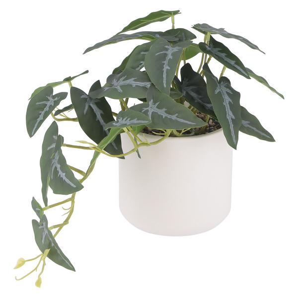 不二貿易 フェイクグリーン アロカシア セラミックポット FB-370725A 「メーカー直送・代引...