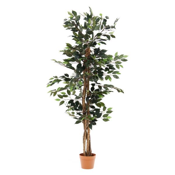 不二貿易 フェイクグリーン フィカス 690A 19839 「メーカー直送・代引不可・置配不可・配送...