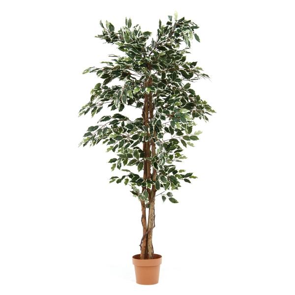 不二貿易 フェイクグリーン フィカス 1124 B 19844 「メーカー直送・代引不可・置配不可・...