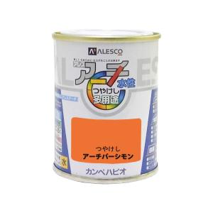 カンペハピオ アレスアーチ アーチパーシモン 0.1L