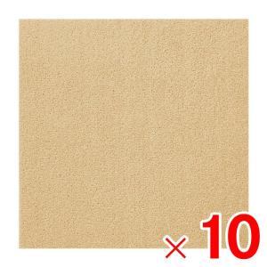 東リ（TOLI） ウィズペットフロア ペットマット WPF03 モカ ×10枚