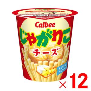 ジャガリコさん専用 カルビー じゃがりこ サラダ 57g ×12個 ケース販売 : Arclands Online