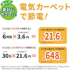 広電 電気カーペット 一体型 1畳 VWC10...の詳細画像3