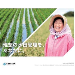 ウィードコアジャンボSD 200gの詳細画像2