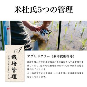 新潟産 にじのきらめき 5kg 「令和7年産」の詳細画像1
