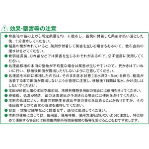 ドクターオリゼスタークル箱粒剤OS 1kgの詳細画像4