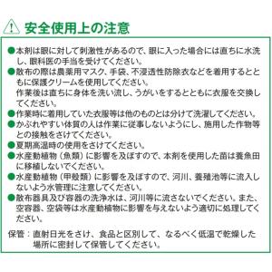 ドクターオリゼスタークル箱粒剤OS 1kgの詳細画像5