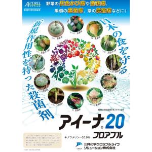 アイーナ20フロアブル 250mlの詳細画像1