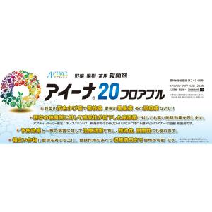 アイーナ20フロアブル 250mlの詳細画像2