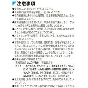 アイーナ20フロアブル 250mlの詳細画像4