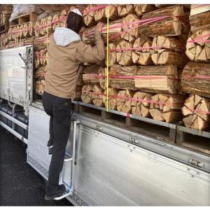 「法人限定」シンセイ トラック用荷台はしご 2...の詳細画像1