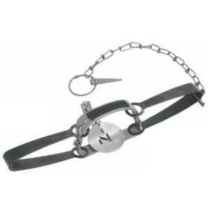 栄工業 栄ヒルズ 捕獲器 トラップ C type No.401 AG-1