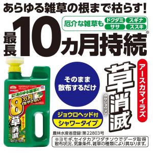 アースガーデン アースカマイラズ 草消滅 ジョ...の詳細画像1