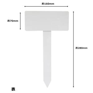 フラワーラベル バラ 中 727756 アークランズの詳細画像1