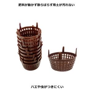 自然作 肥料容器 大 10個入 727732 ...の詳細画像1