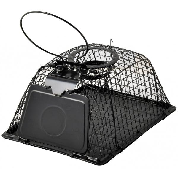 チュー・ハウス型 アークランズ