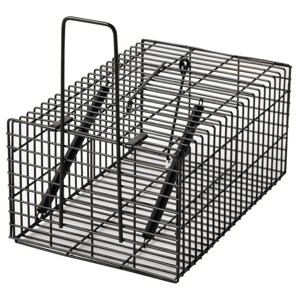 ブラック・角型ハウス アークランズ