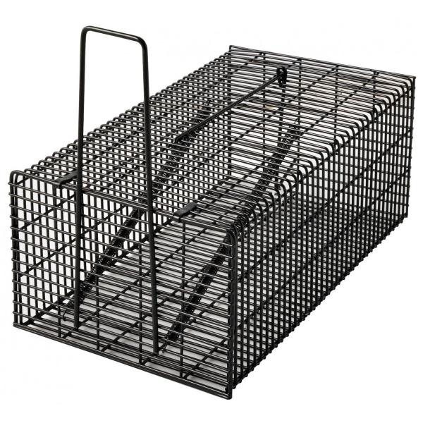 ブラック・角型ハウス Ｌ アークランズ