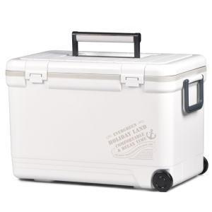 伸和（SHINWA） クーラーボックス 大型 保冷力 釣り おしゃれ 部活 27L