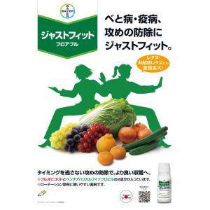 ジャストフィットフロアブル 100mlの詳細画像1