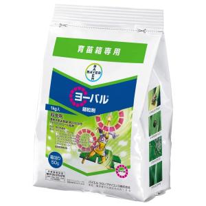 耐候年数約10年の防草シート ブラック 2×50m アークランズ 「大型便