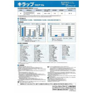 キラップフロアブル 500mlの詳細画像2