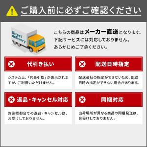 エーコー インテリアデザイン金庫 GUARD ...の詳細画像2