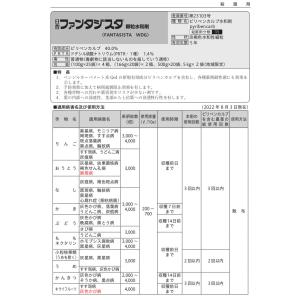 ファンタジスタ顆粒水和剤 500gの詳細画像1