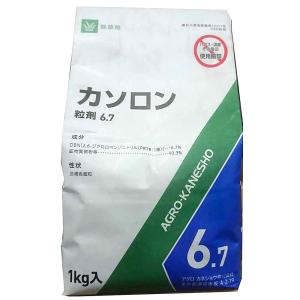 カソロン粒剤6.7 1kg｜lamd