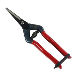 近正 本職園芸用 芽切摘果鋏 T-55CH