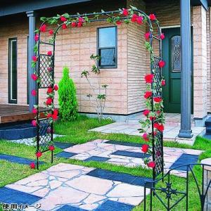 DAIM エクステリアガーデン スライドフラワーアーチ 幅広 D-4  組立式