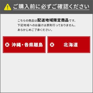「法人限定」長谷川工業 はしご兼用脚立 RYR...の詳細画像4