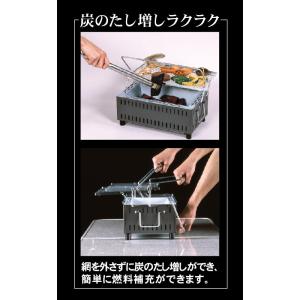 グリーンライフ 炭たしカンタン 卓上シチリン ...の詳細画像2