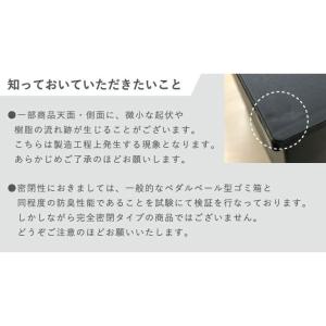 リス H&H 棚下で使えるペダルダスト...の詳細画像4