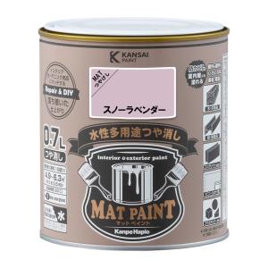 メーカー欠品中 次回11月上旬入荷予定です カン...の商品画像